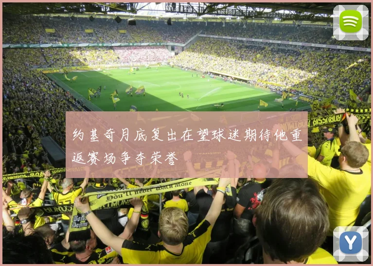 约基奇月底复出在望球迷期待他重返赛场争夺荣誉